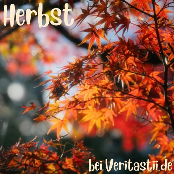 Hallo Herbst