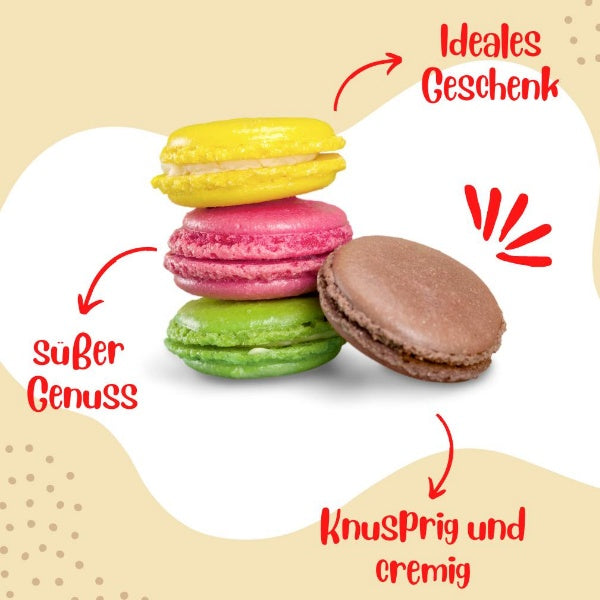 Macarons de Pauline Chocolat - 72g