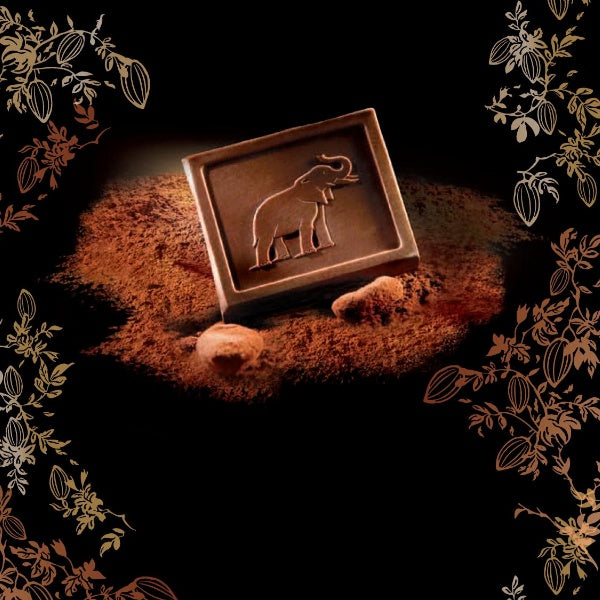 Côte d'Or Bloc Tafelschokolade Noir Noisettes Entières - 180g