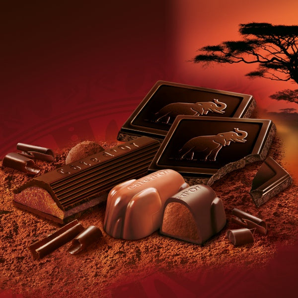 Côte d'Or Bloc Tafelschokolade Noir Noisettes Entières - 180g